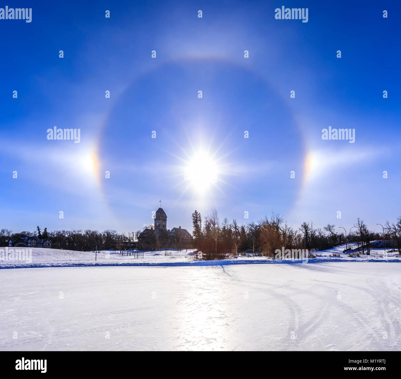 Sun cani con alogeno su Assiniboine Park, Winnipeg, Manitoba, Canada. Foto Stock