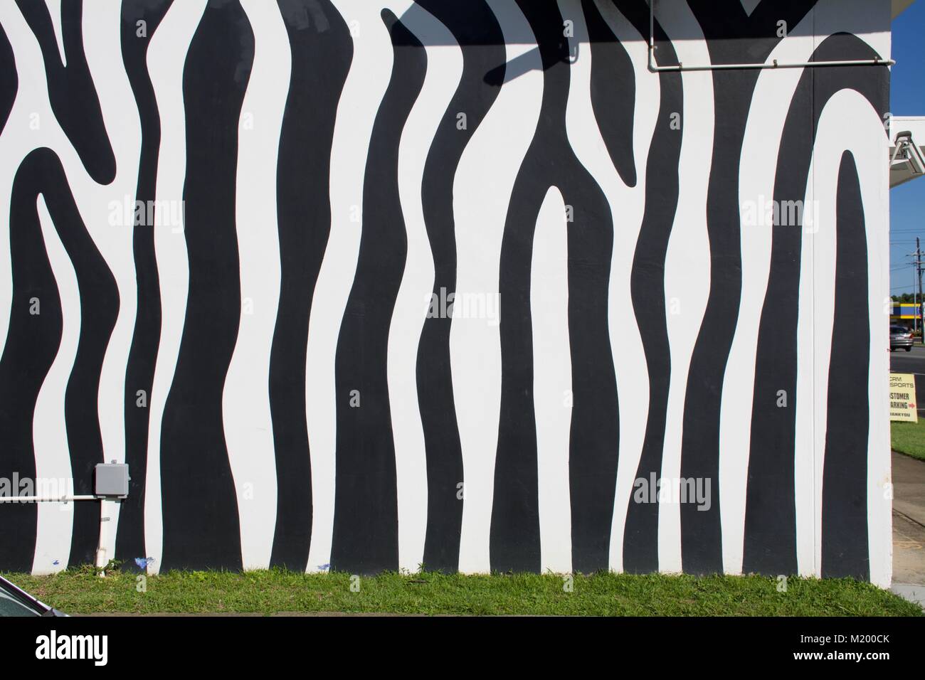 Bianco e nero a strisce della zebra pattern dipinta su una parete esterna di un edificio Foto Stock