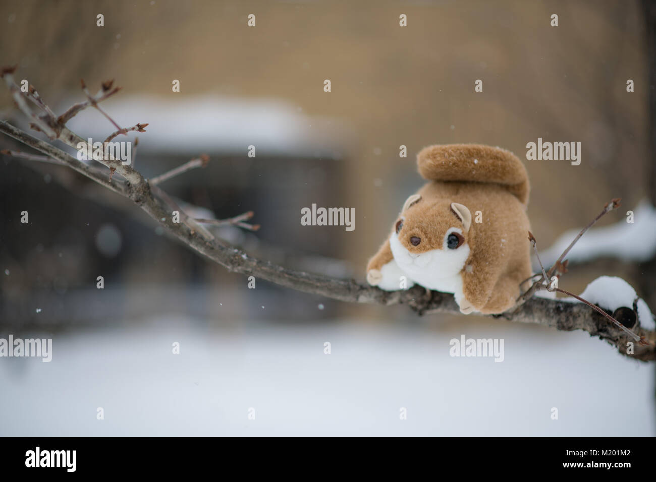 Carino ezo grassi momonga hokkaido siberian scoiattolo battenti doll su albero nella stagione invernale con la caduta di neve Foto Stock