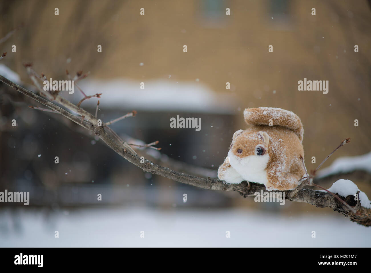 Carino ezo grassi momonga hokkaido siberian scoiattolo battenti doll su albero nella stagione invernale con la caduta di neve Foto Stock