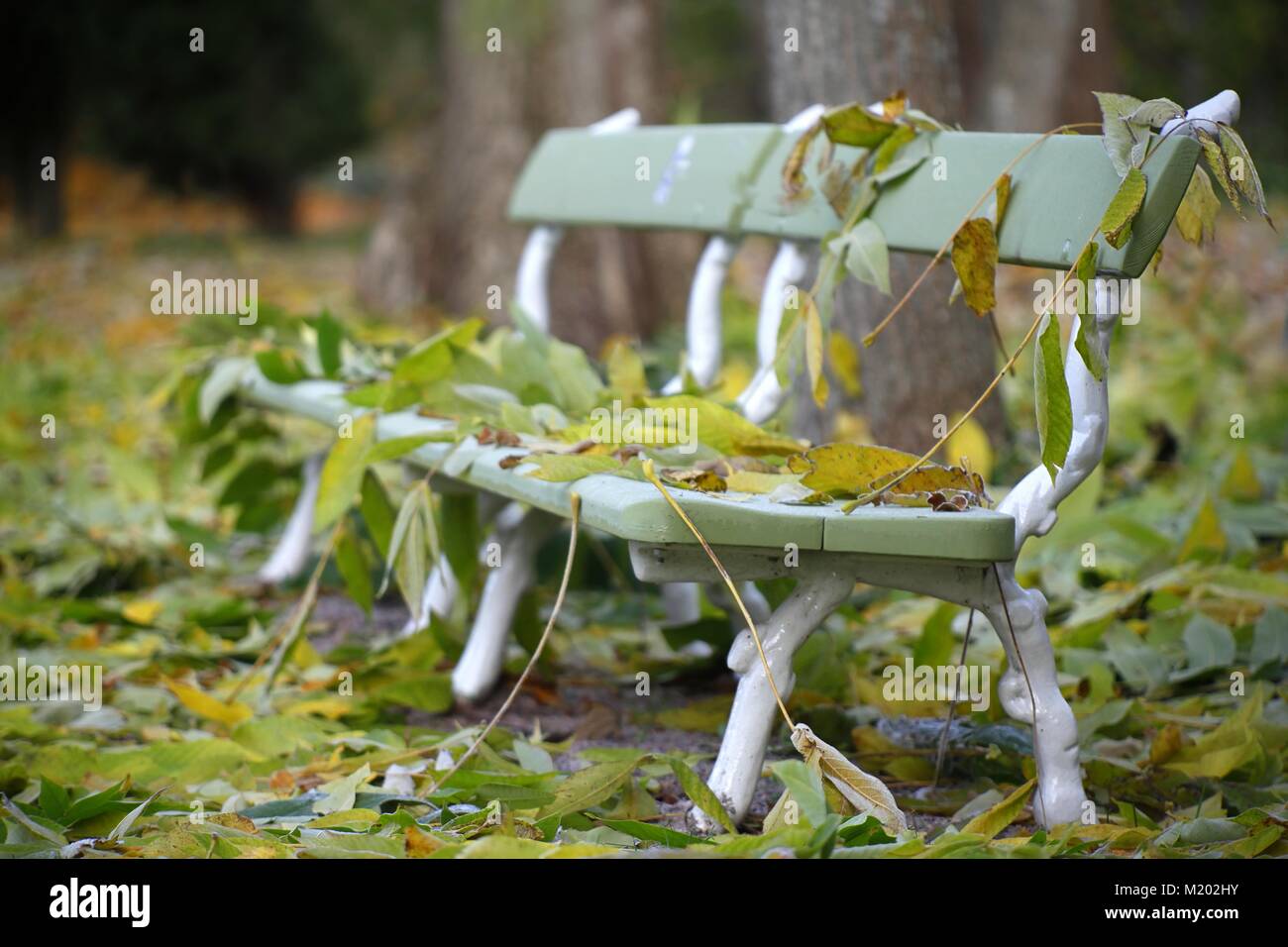 Svuotare una panchina nel parco e caduta foglie Foto Stock
