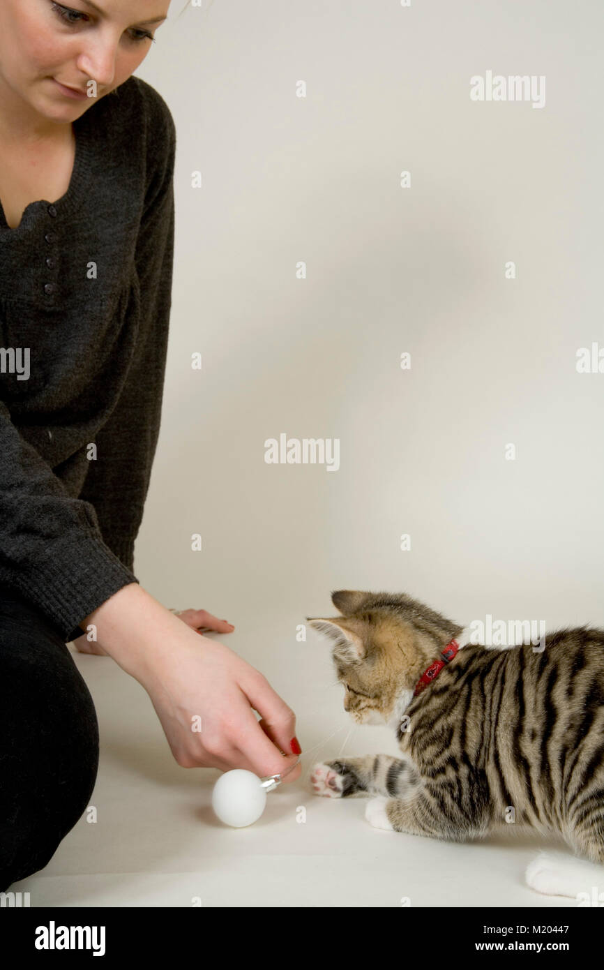 Giovane donna che gioca con un gattino su sfondo bianco Foto Stock