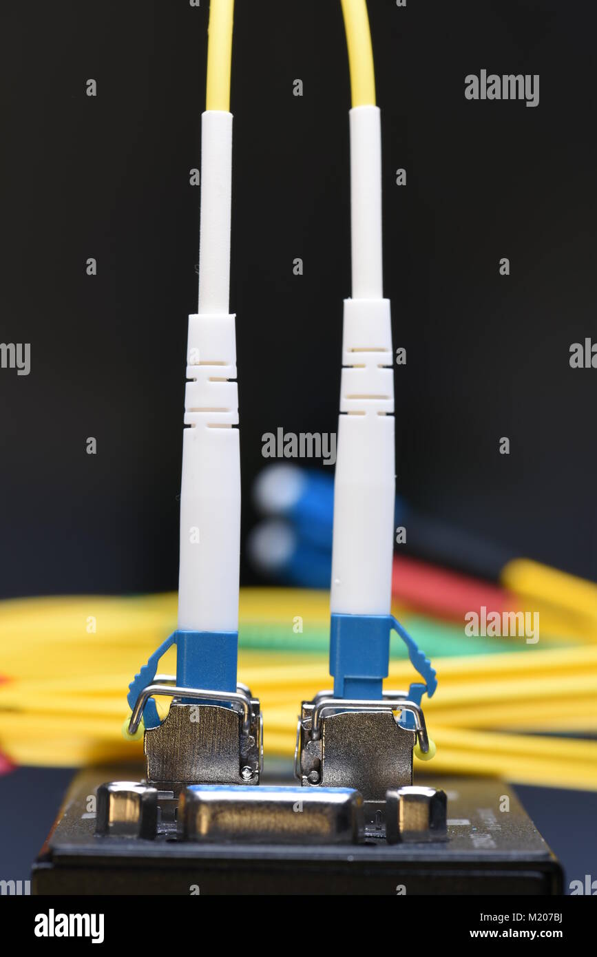 Internet La tecnologia di rete, cavo in fibra ottica collegato al commutatore nel centro dati, close-up Foto Stock