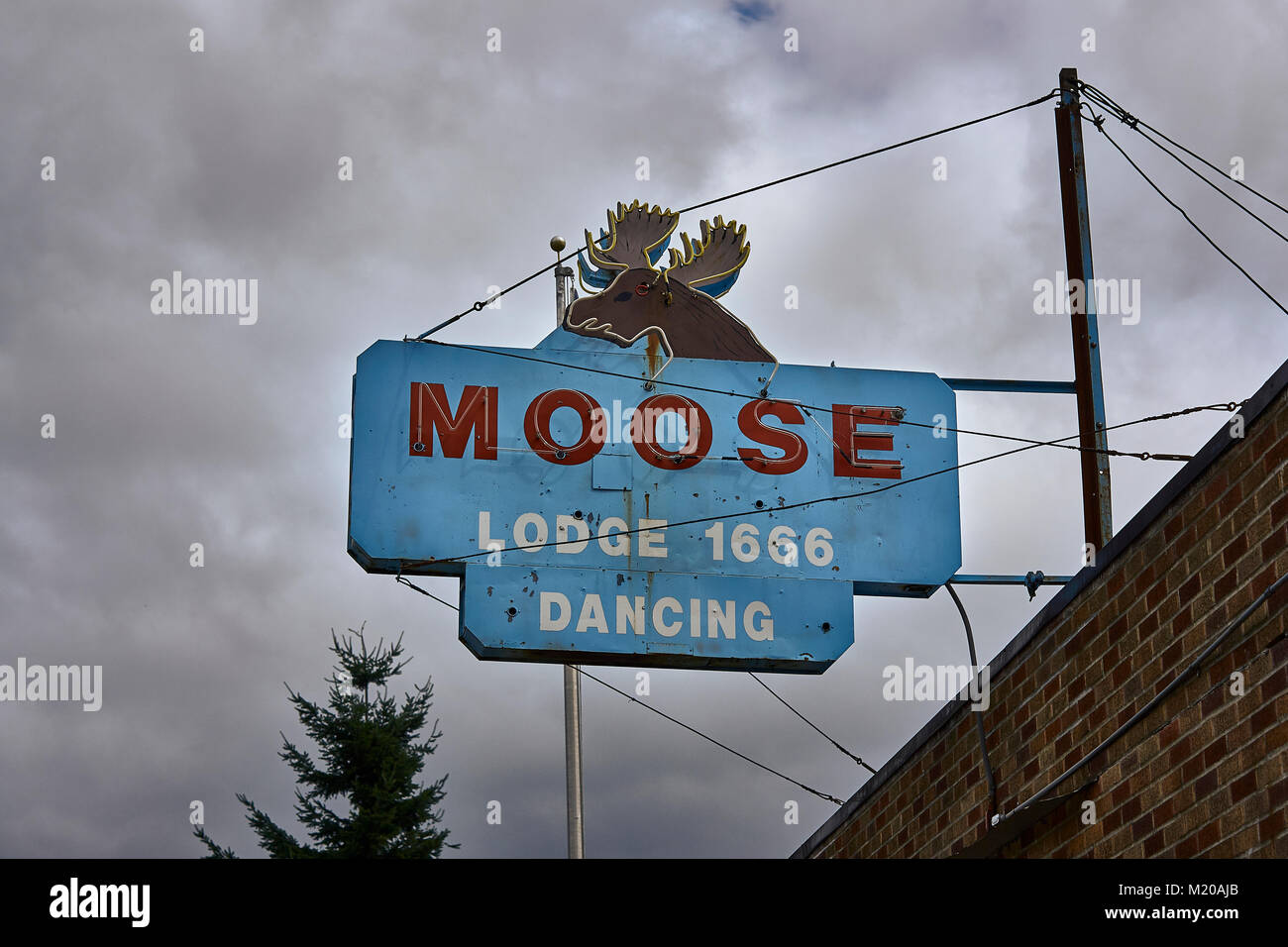 Moose Lodge sign in North Bend Washington stato usa Foto Stock