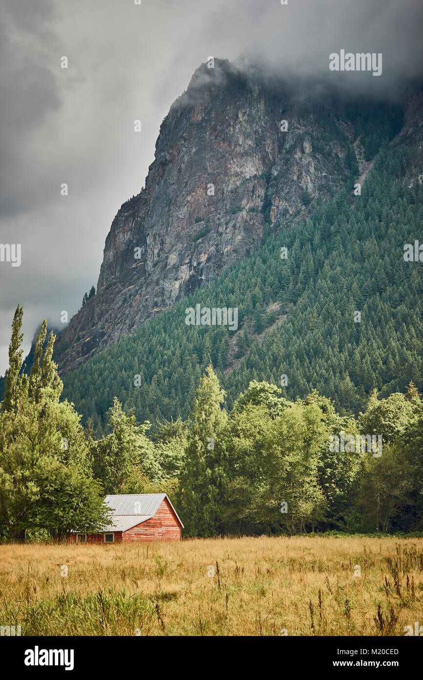 Piccolo edificio agricolo immerso tra alcuni alberi in corrispondenza della base di una nube coprì montagna appena fuori città caduta nello Stato di Washington, USA. Foto Stock