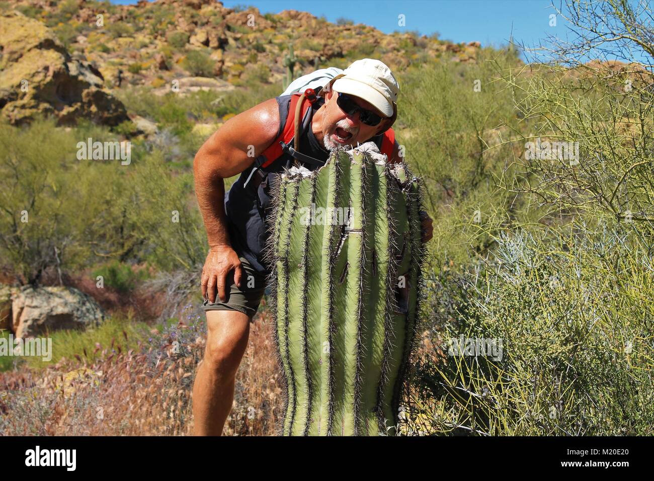 Giunzione di Apache in Arizona è meravigliosa in primavera-sorprese con blumi, la fauna selvatica e le incredibili escursioni in superstizioni Foto Stock