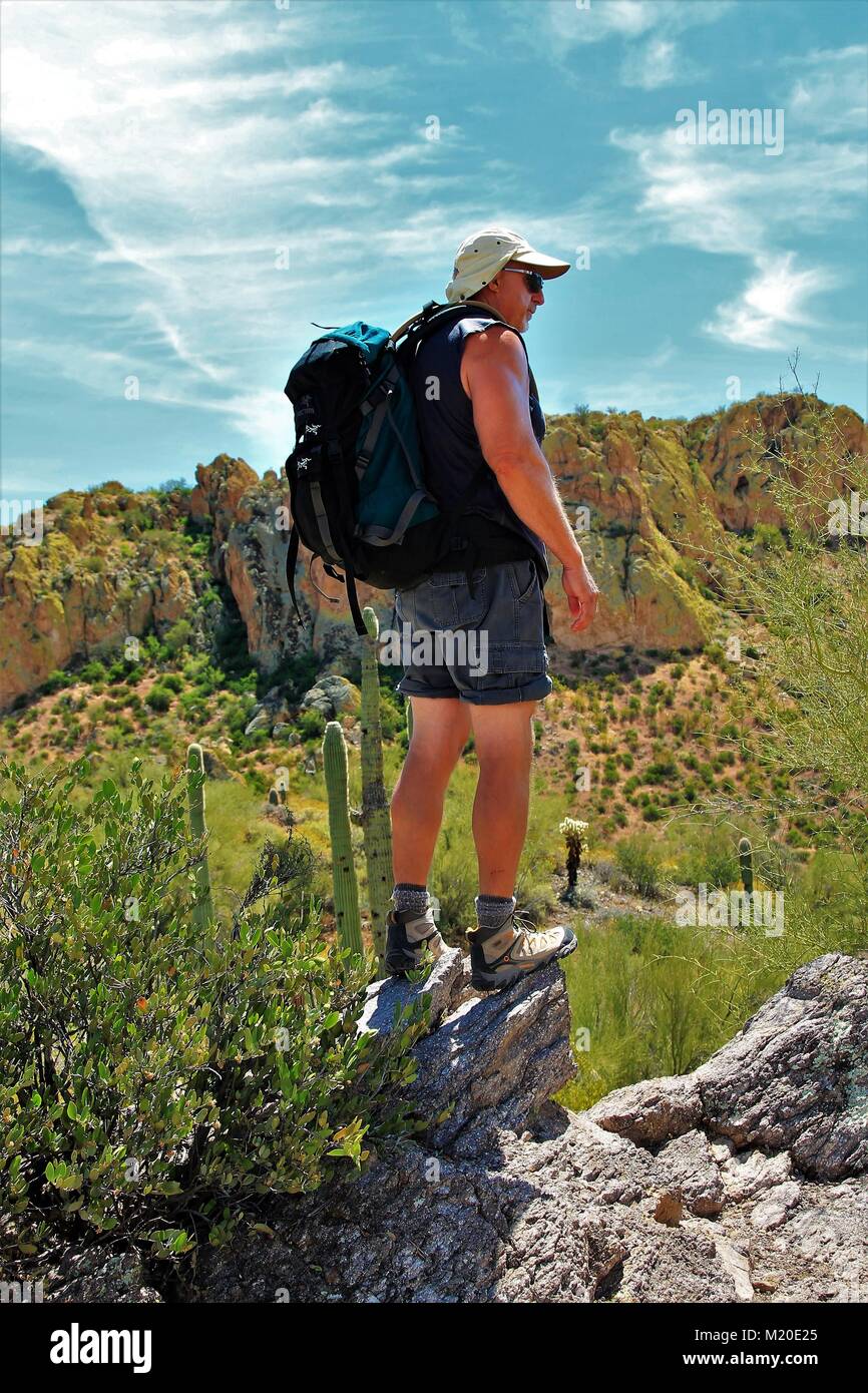 Giunzione di Apache in Arizona è meravigliosa in primavera-sorprese con blumi, la fauna selvatica e le incredibili escursioni in superstizioni Foto Stock