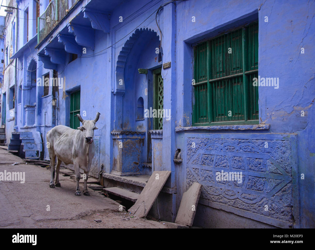 Le scene della città blu di Bundi, Rajasthan, India Foto Stock