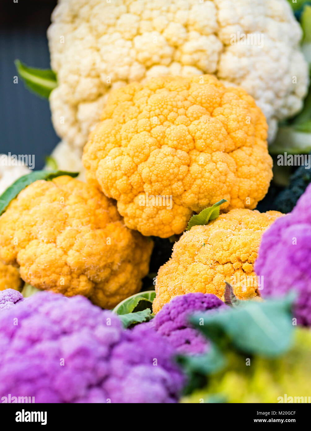 Organici colorati cavolfiore fresco visualizzati al mercato, closeup. Vivid viola, l'arancione, bianco cavolfiore in stallo del mercato, Sydney, Australia. Foto Stock
