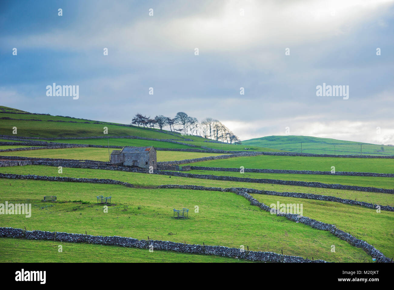 In muratura di pietra calcarea dividendo i campi nel Derbyshire Peak District Inghilterra REGNO UNITO Foto Stock