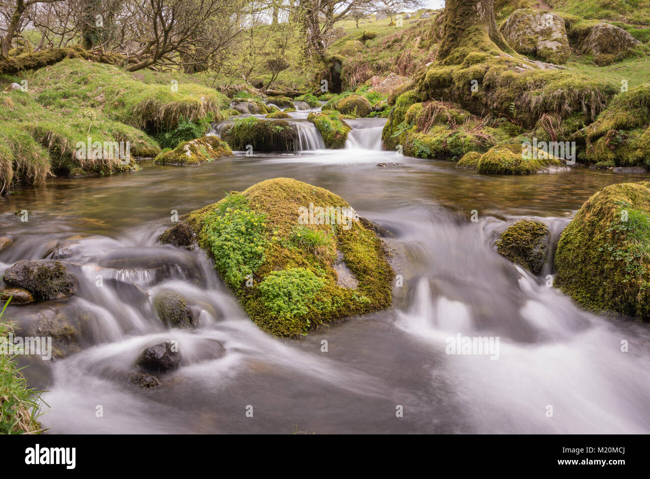 Una lunga esposizione di fiume nel cuore del Parco Nazionale di Dartmoor, Devon, Regno Unito. Foto Stock