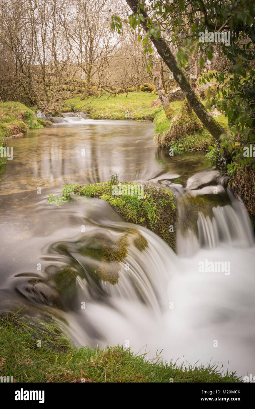 Una lunga esposizione di fiume nel cuore del Parco Nazionale di Dartmoor, Devon, Regno Unito. Foto Stock