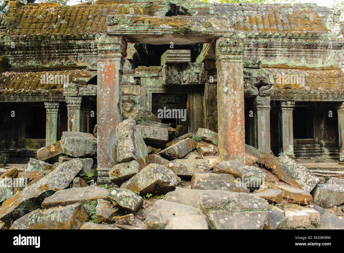 Angkor Wat rovine di templi in Cambogia - Ta Prohm Foto Stock