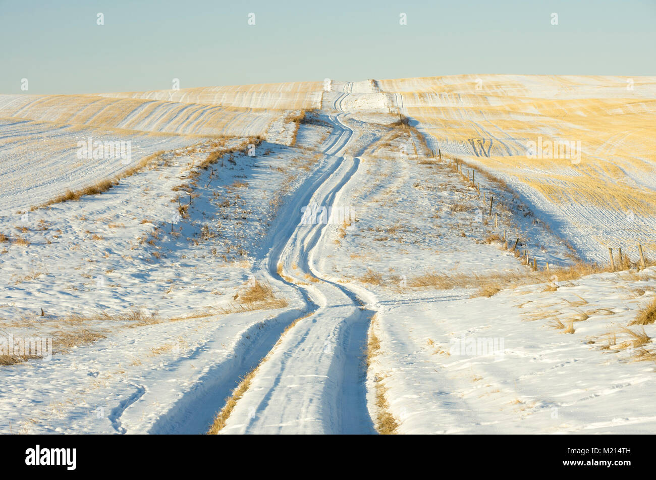 Alberta, Canada. Sentiero del veicolo in inverno sulle praterie. Foto Stock