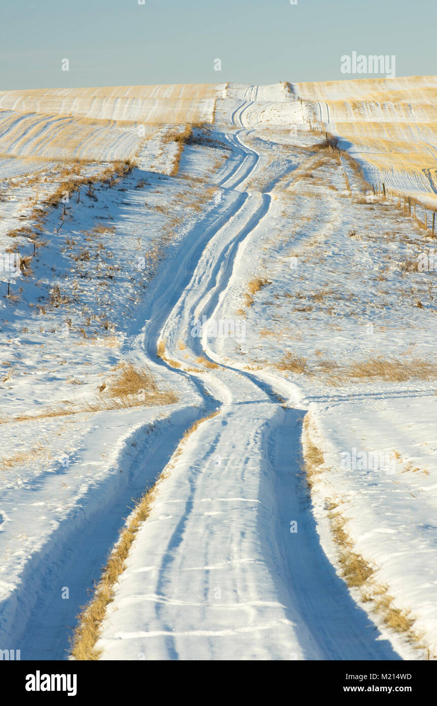 Alberta, Canada. Sentiero del veicolo in inverno sulle praterie in orientamento verticale. Foto Stock