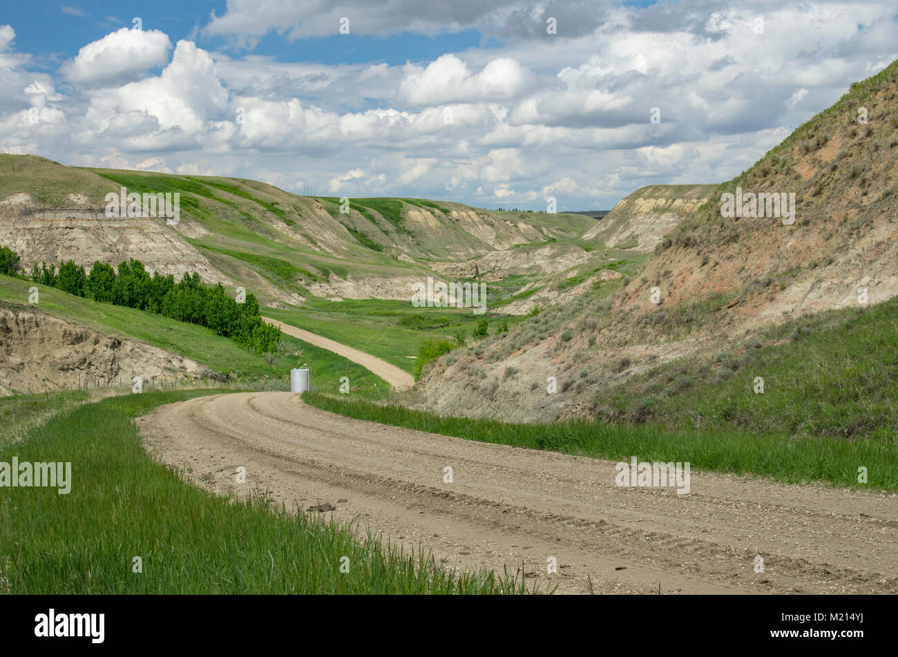 Kneehill County, Alberta, Canada. Badland formazioni in una valle a ovest di Drumheller con una strada di ghiaia avvolgimento attraverso di esso. Foto Stock