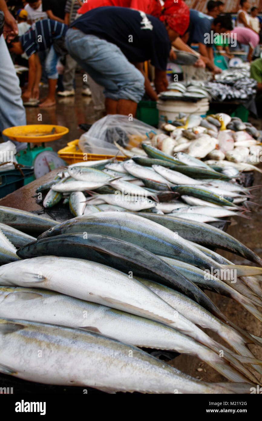 Mercato del pesce in Semporna, Borneo Malaysia Foto Stock