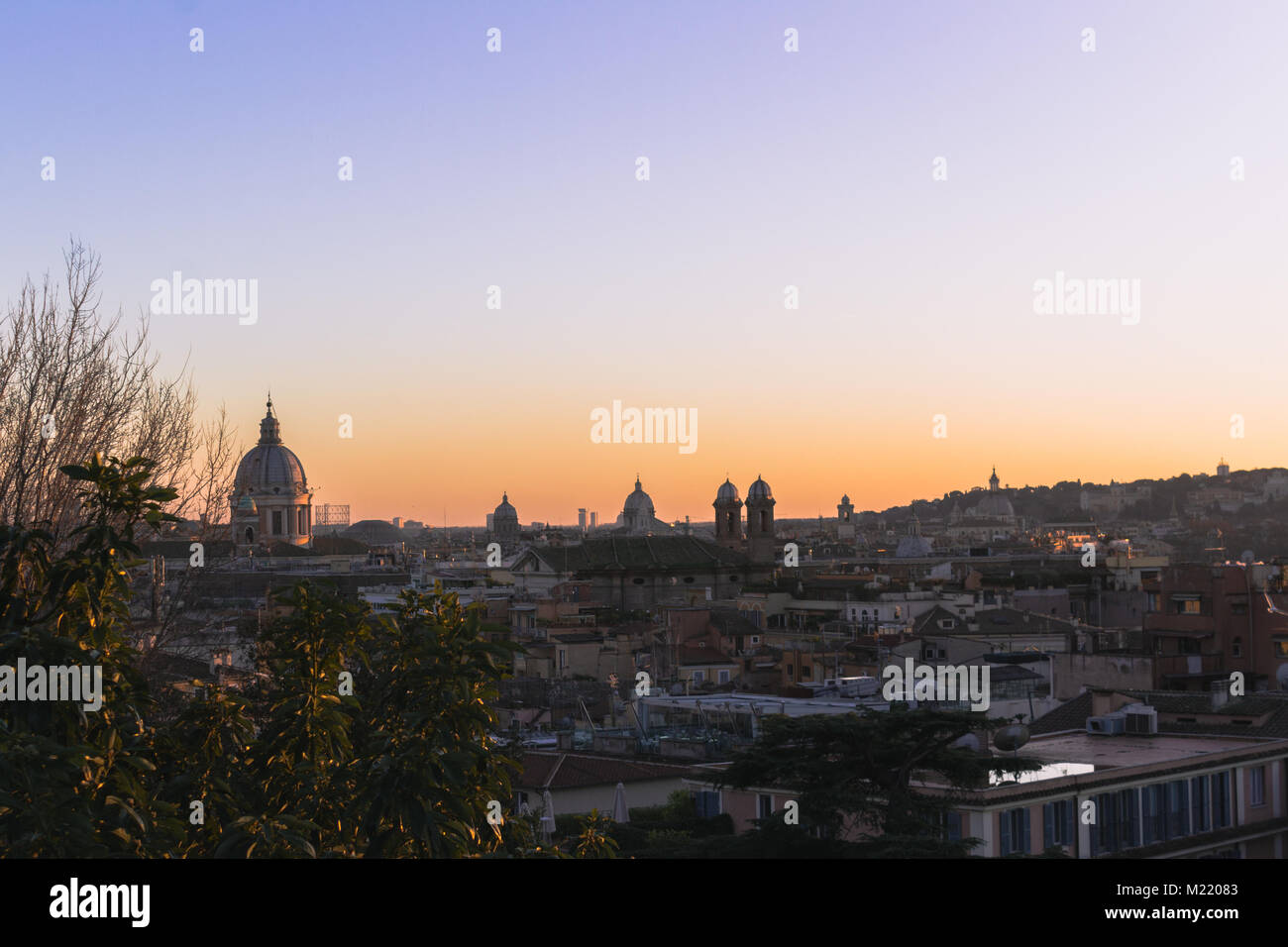 Vista di Roma alla fine del pomeriggio wit alcune piante in primo piano. Foto Stock