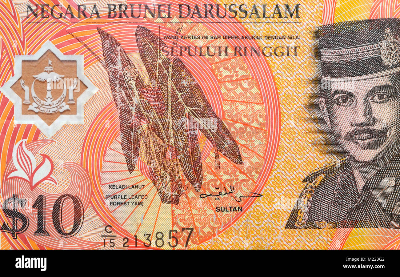 Brunei dieci 10 ringgit Banconote Foto Stock