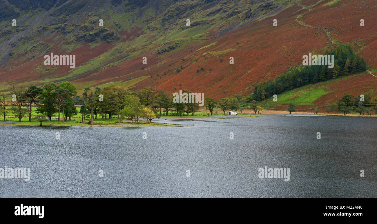 Fondo Warnscale con Boat House Buttermere sponda meridionale. Il Lake District, Cumbria, Inghilterra. Regno Unito Foto Stock