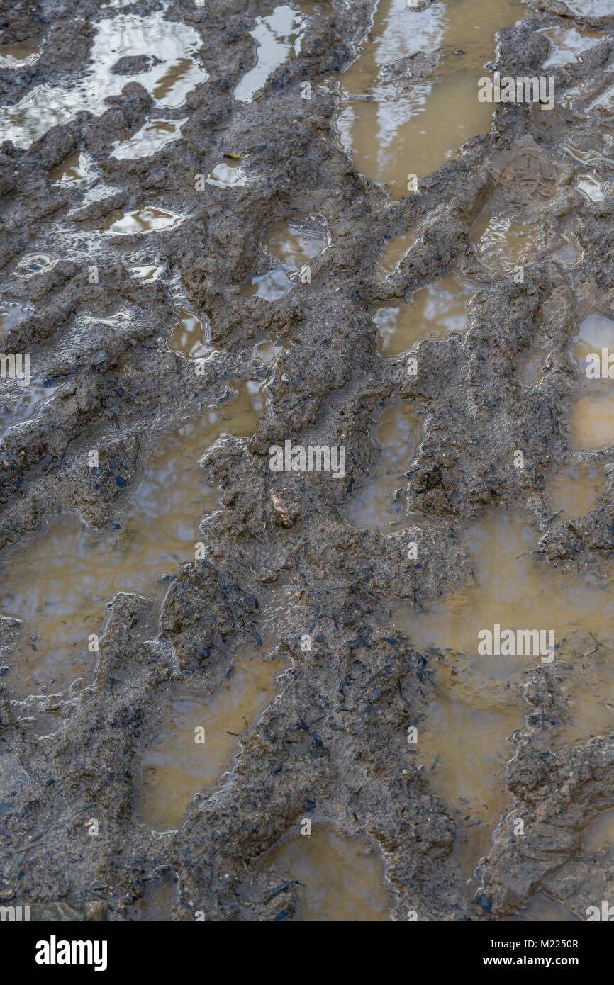 Davvero imbevuto sentiero fangoso nei mesi invernali. Metafora stick nel fango, fangoso texture, superficie fangosa, fango, stagione invernale. Paludosa, pantano concetti. Foto Stock
