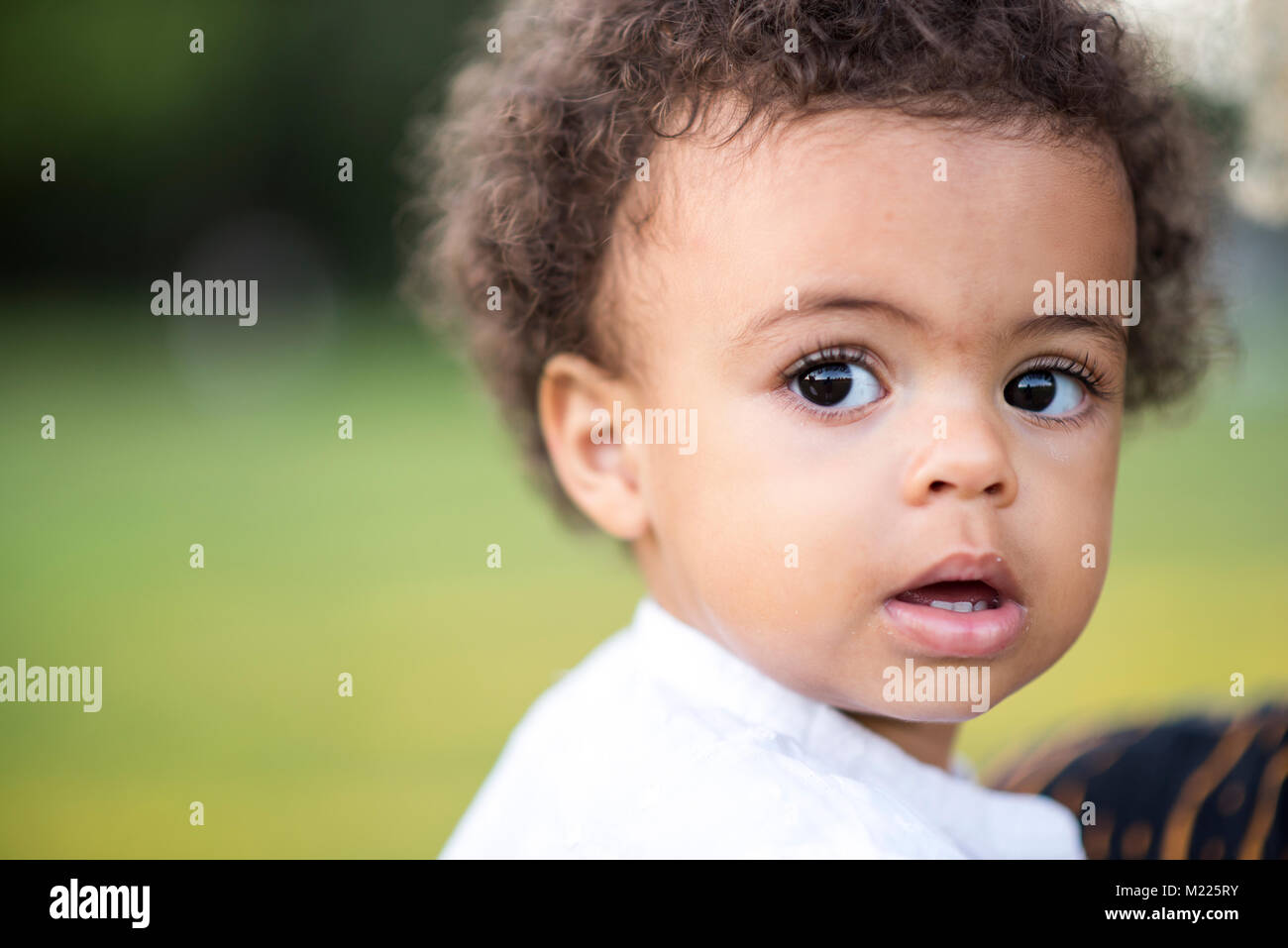 Incantevole piccola razza mista baby nel parco Foto Stock