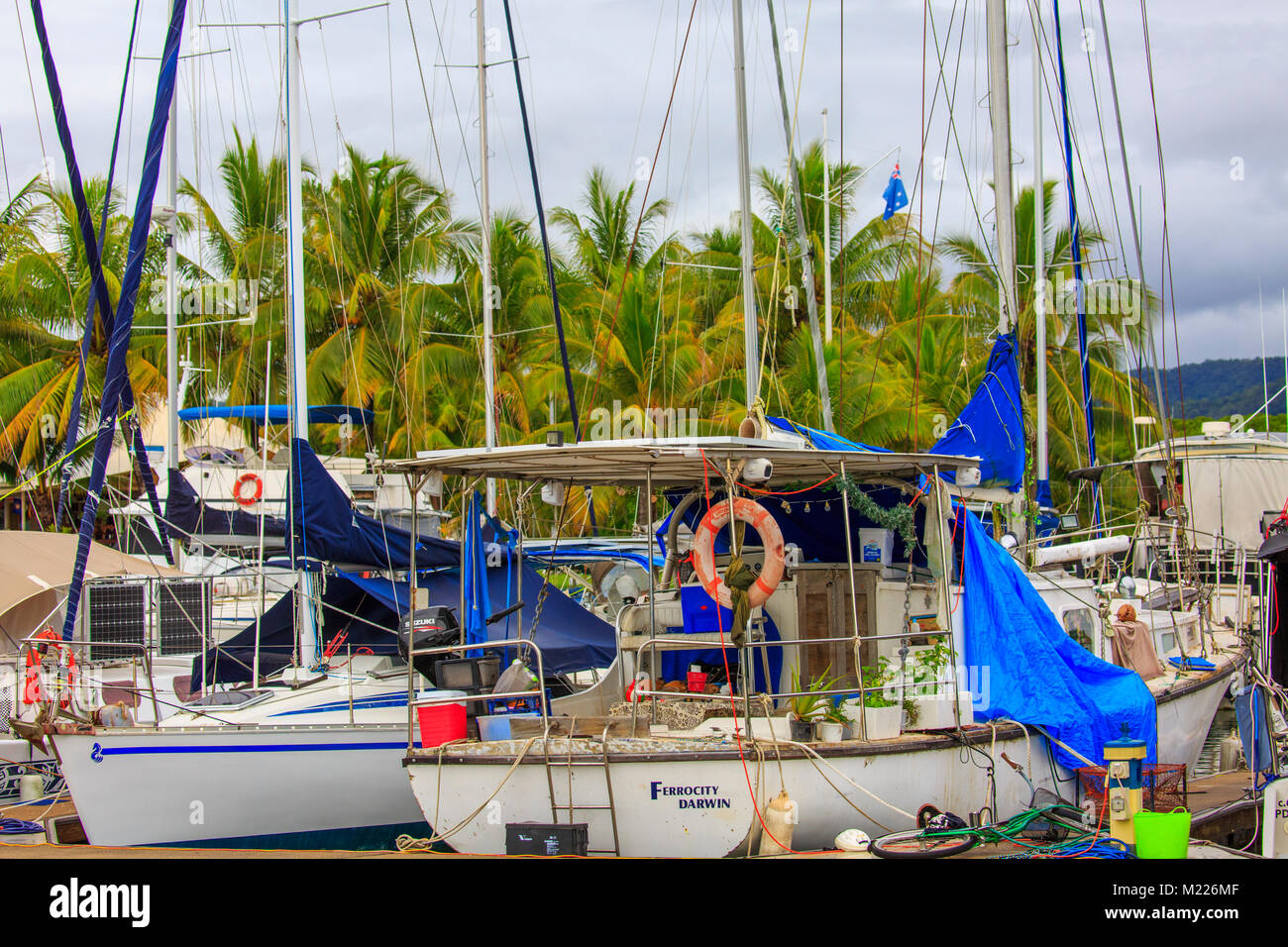 Yachts a Port Douglas e yacht club, estremo Nord Queensland, Australia Foto Stock