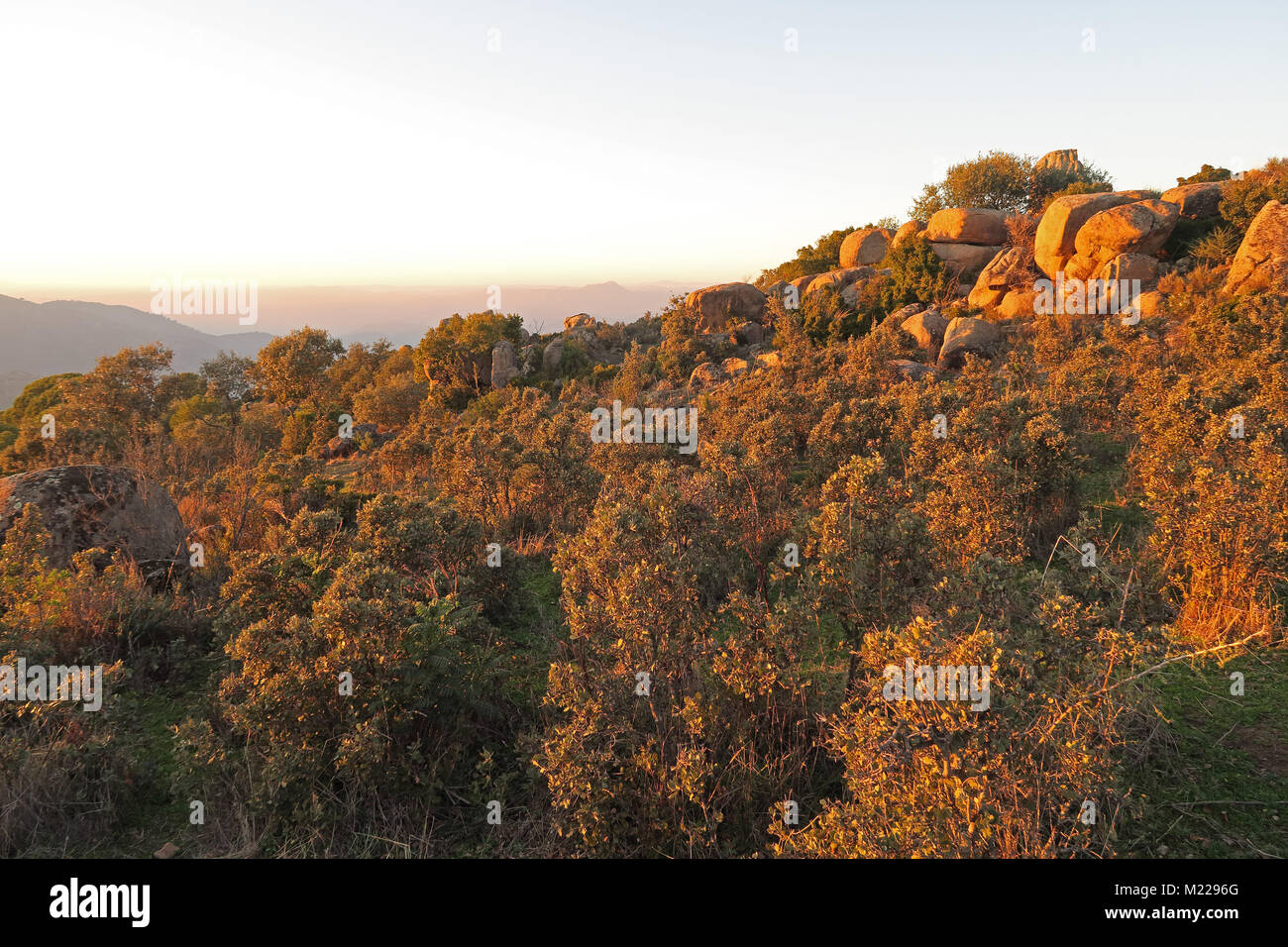 Vista della collina rocciosa nella luce della sera Parque Natural Sierra de Andujar, Jaen, Spagna gennaio Foto Stock