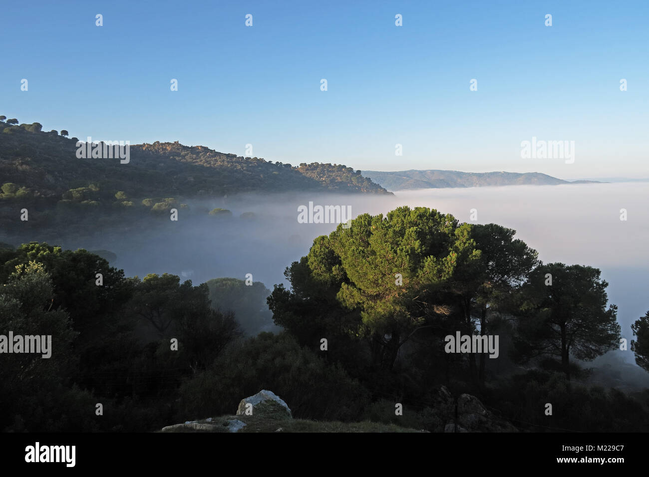 Vista sulla valle con bassa banca di cloud Parque Natural Sierra de Andujar, Jaen, Spagna gennaio Foto Stock