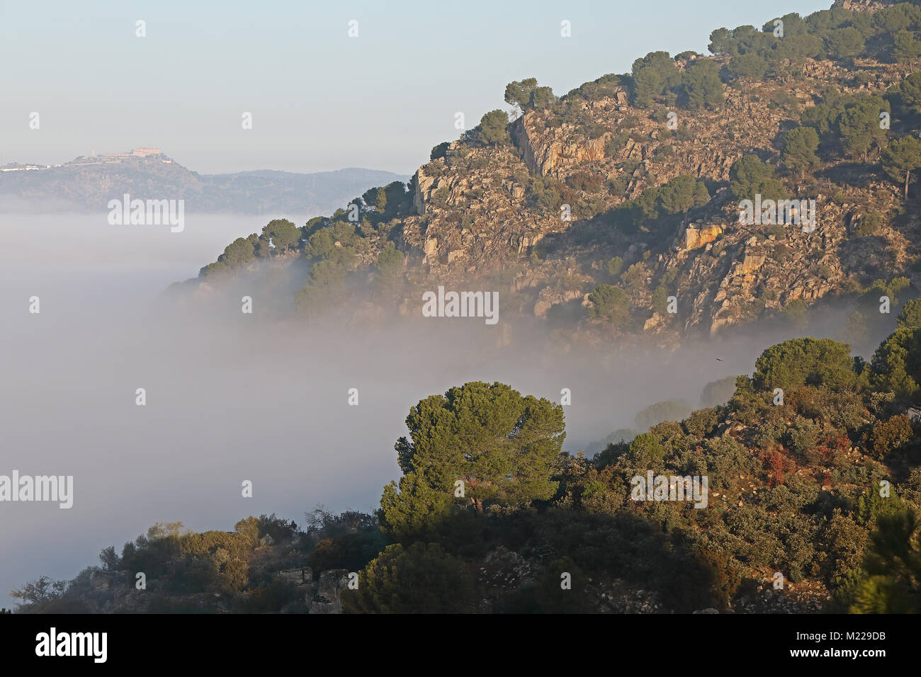 Vista sulla valle con bassa banca di cloud Parque Natural Sierra de Andujar, Jaen, Spagna gennaio Foto Stock