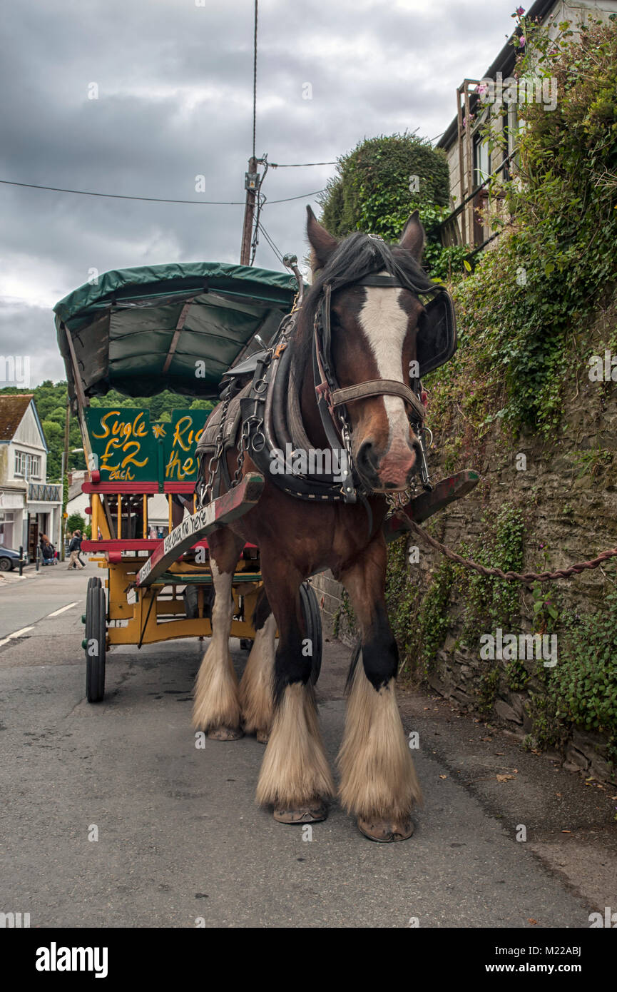 POLPERRO, CORNOVAGLIA 07 GIUGNO 2009: Il carro trainato da cavalli che fornisce un servizio di taxi per il villaggio Foto Stock