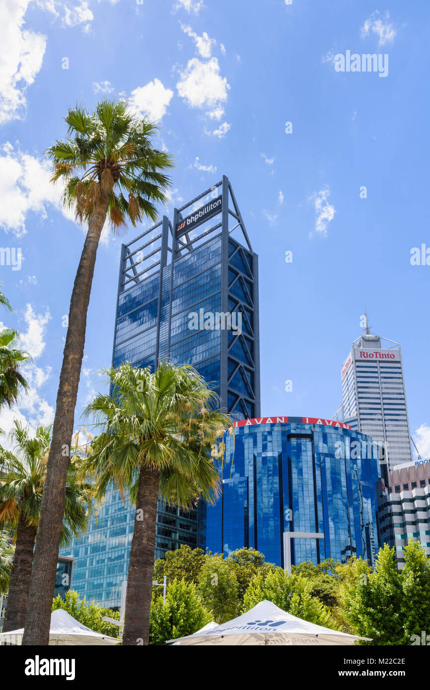 Palme e grattacieli del CBD di Perth compresi BHP Billiton e Rio Tinto, Perth, Australia occidentale, Australia Foto Stock