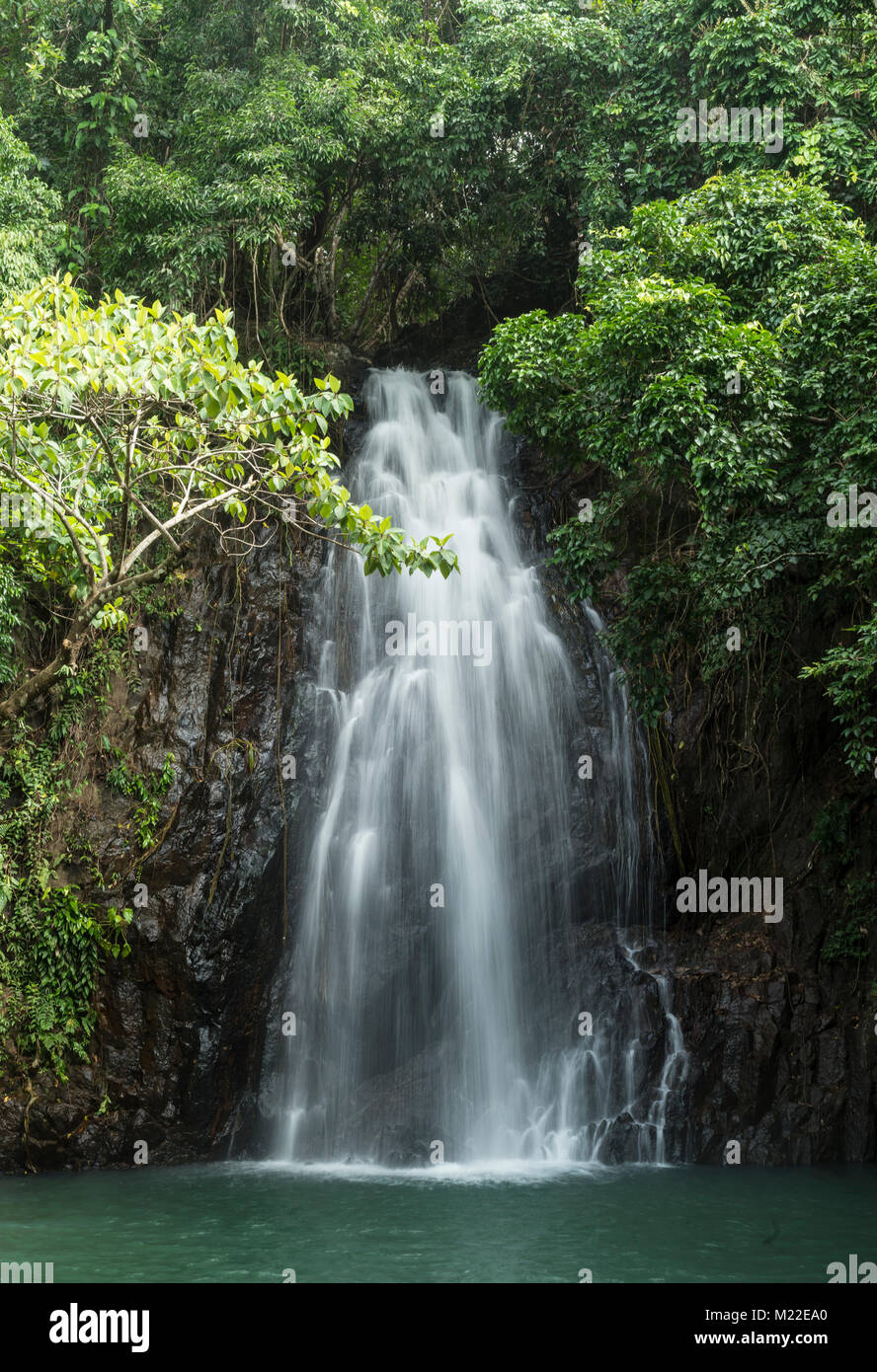 La cascata di schiantarsi nel piccolo stagno circondato da rocce e lussureggiante giungla verde vegetazione Foto Stock