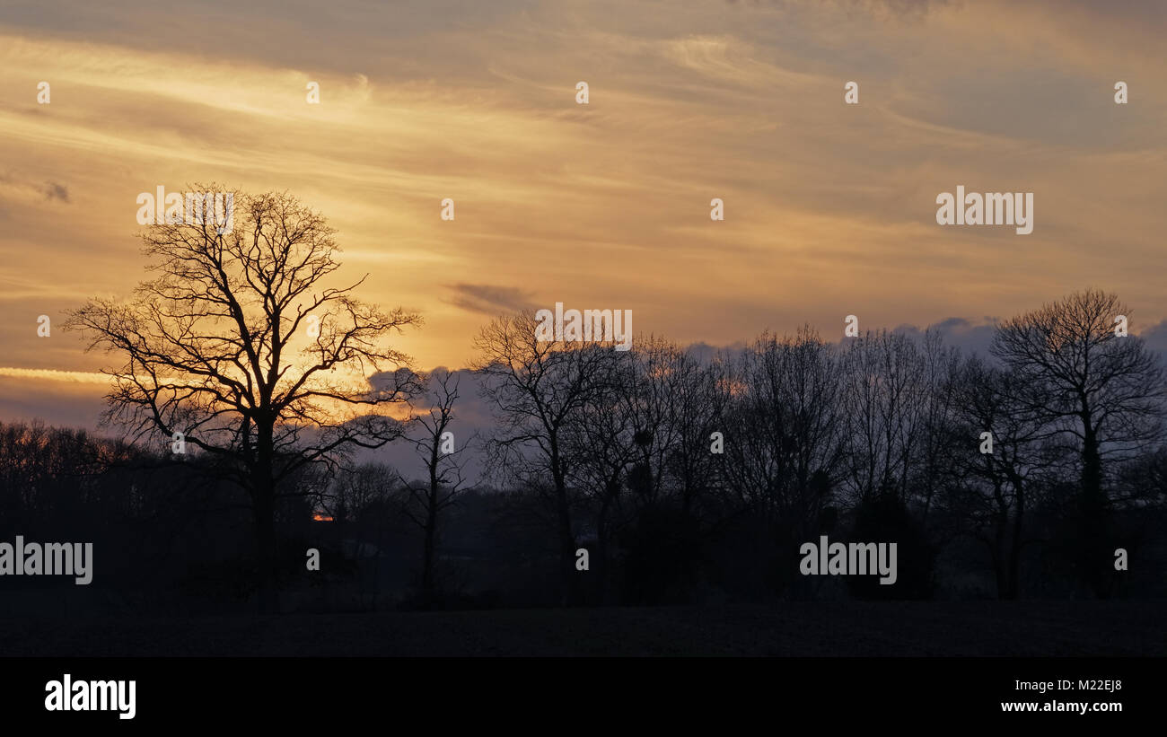 Paesaggio boscoso, in inverno al tramonto, nord Mayenne (dipartimento Mayenne, Pays de Loire, Francia). Foto Stock