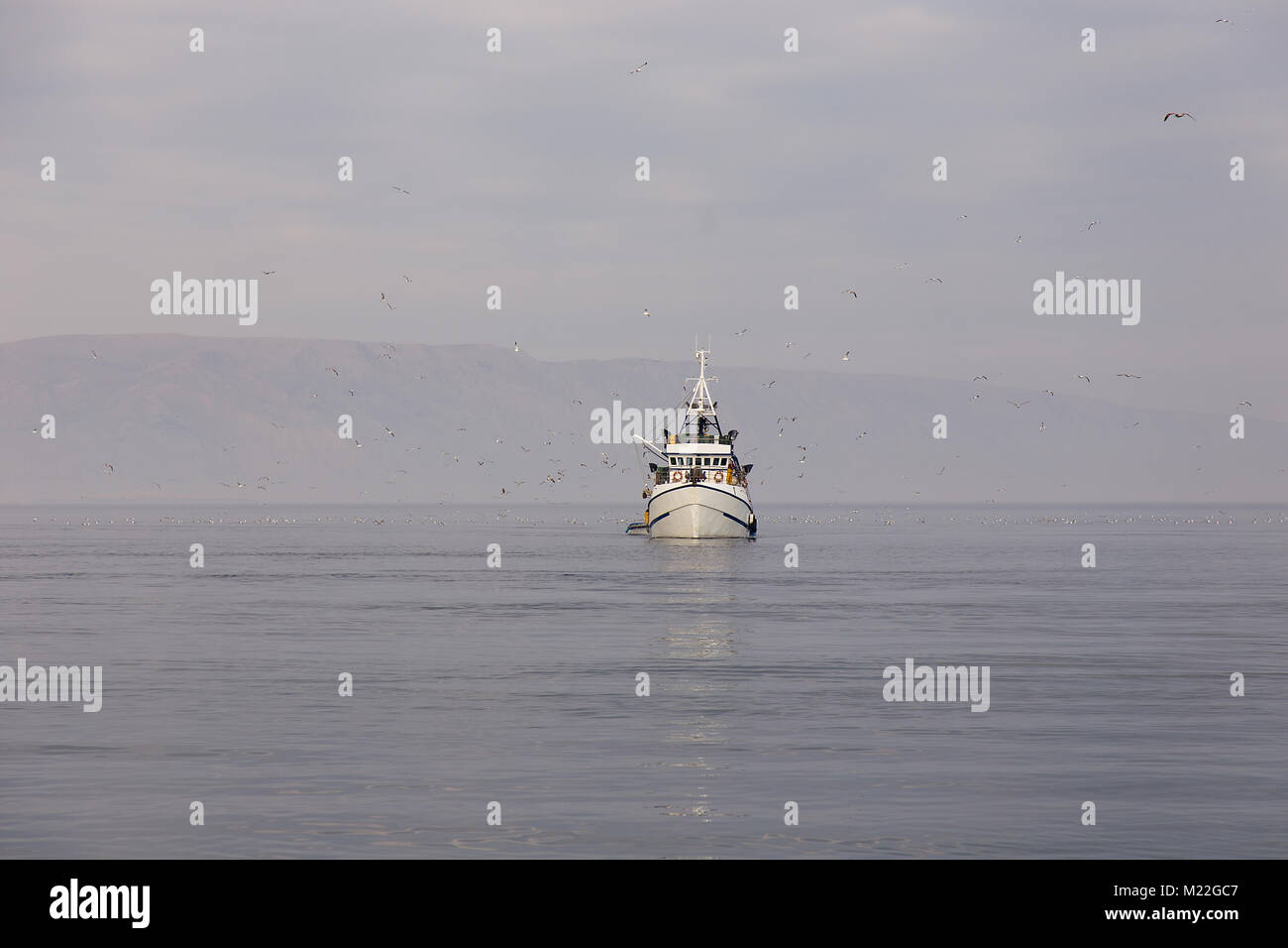 Barca da pesca sul mare - fisherman ritorno al Porto di notte con la cattura del pesce Foto Stock