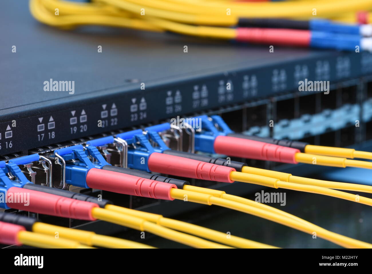Interruttore con cavi a fibra ottica nel centro dati Foto Stock