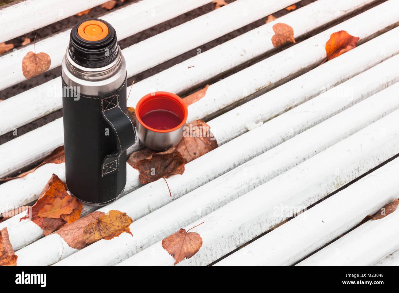 Thermos con tazza di tè sorge sul banco di bianco in autunno park Foto Stock