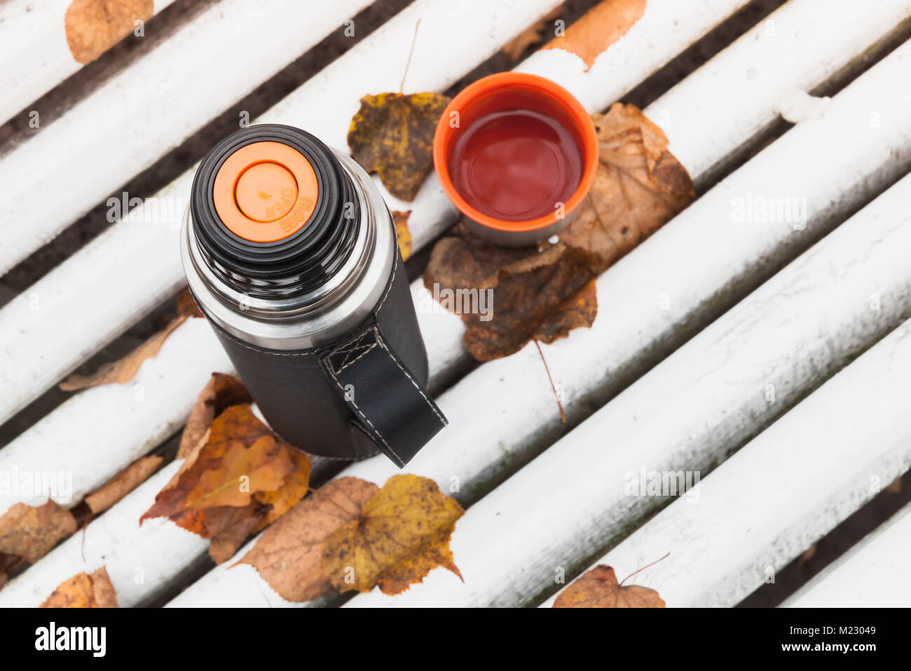 Tourist thermos con tazza di tè sul banco di bianco nell'autunno del parco, vista dall'alto Foto Stock