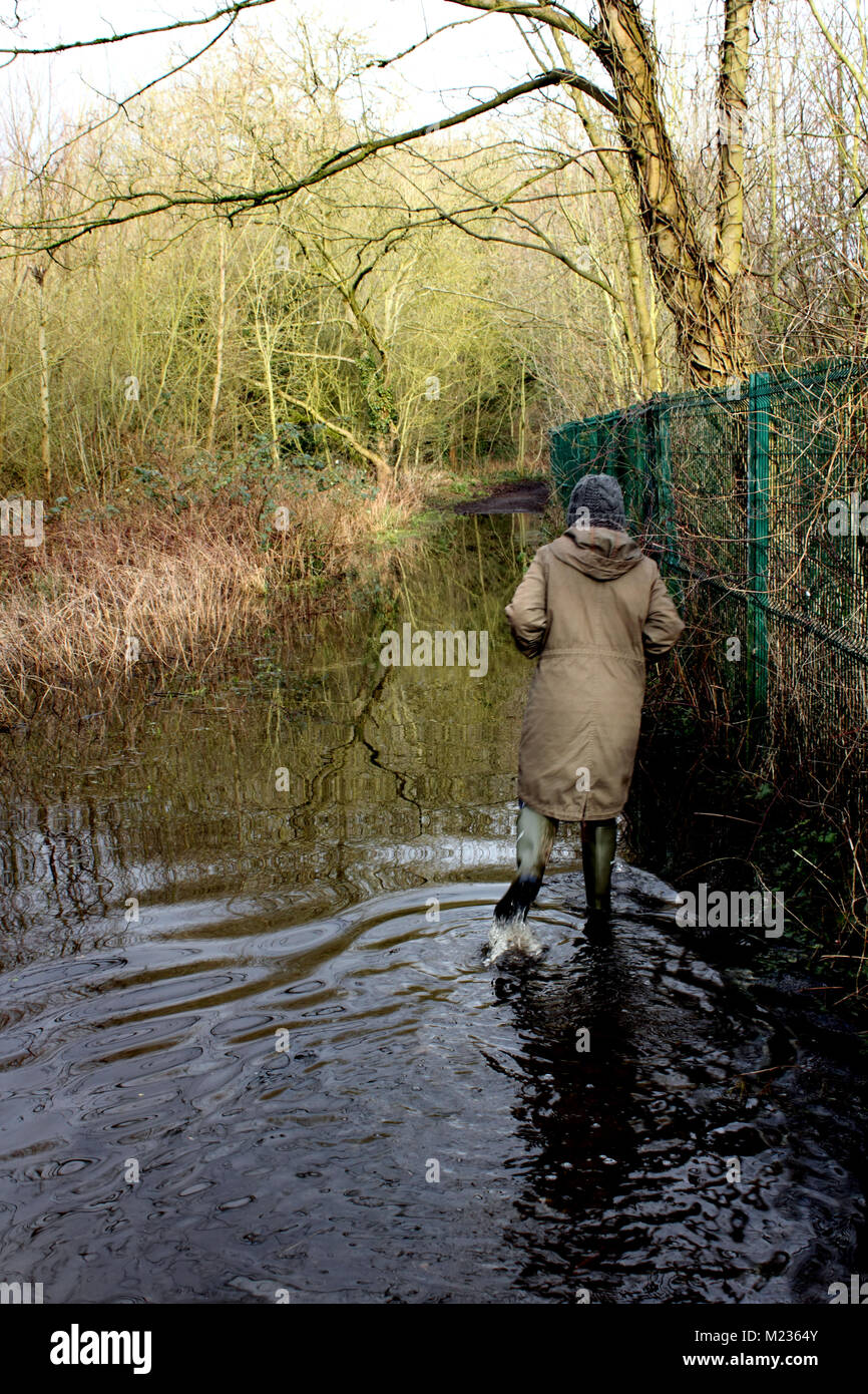 Donna che cammina sul sentiero inondato di boschi Foto Stock