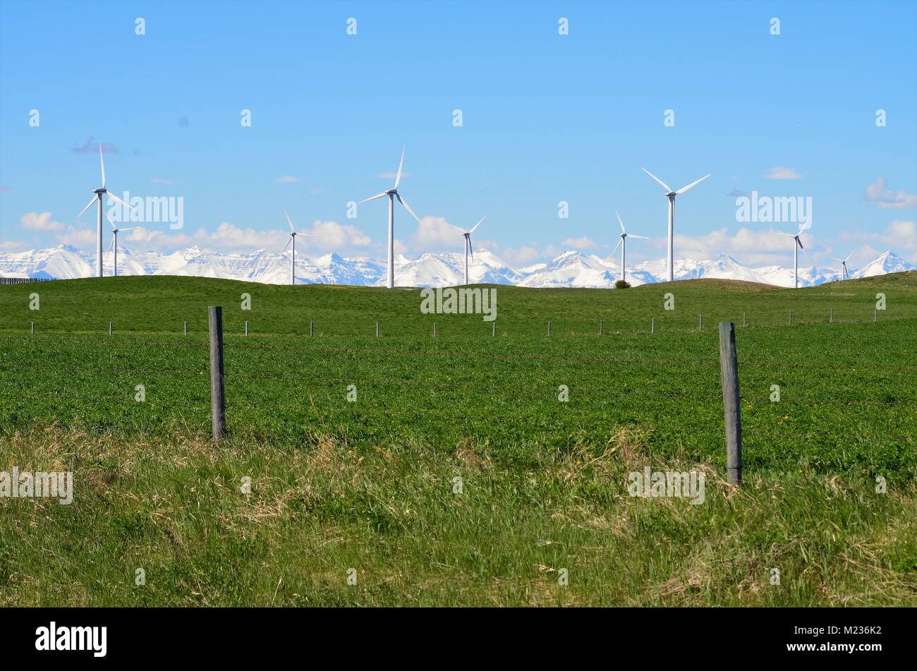 Una fattoria di turbine eoliche a sedersi in un campo di erba verde con una vista incredibile della coperta di neve montagne rocciose della distanza Foto Stock Una fattoria di turbine eoliche a sedersi in un campo di erba verde con una vista incredibile della coperta di neve montagne rocciose della distanza Foto Stock