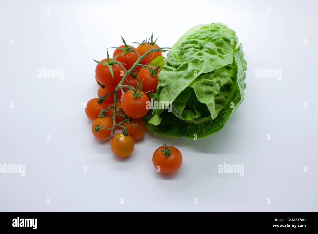 Pomodori ciliegia (Solanum Lycopersicum) accanto a un piccolo gioiello Lattughe (Lactuca sativa) su uno sfondo bianco Foto Stock