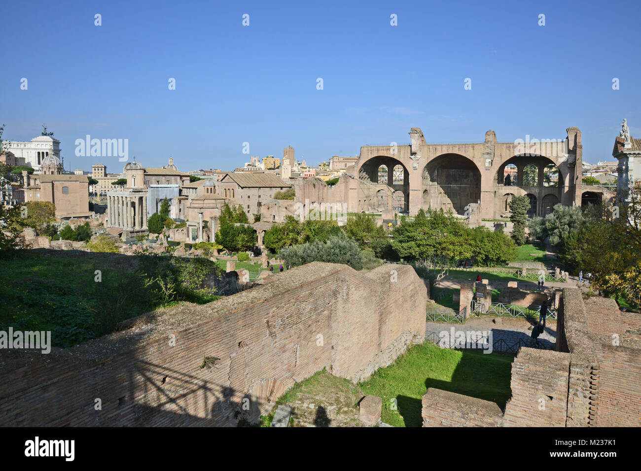 Vista della Basilica di Massenzio noto anche come Massenzio e Costantino da del Palatino a Roma in Italia Foto Stock