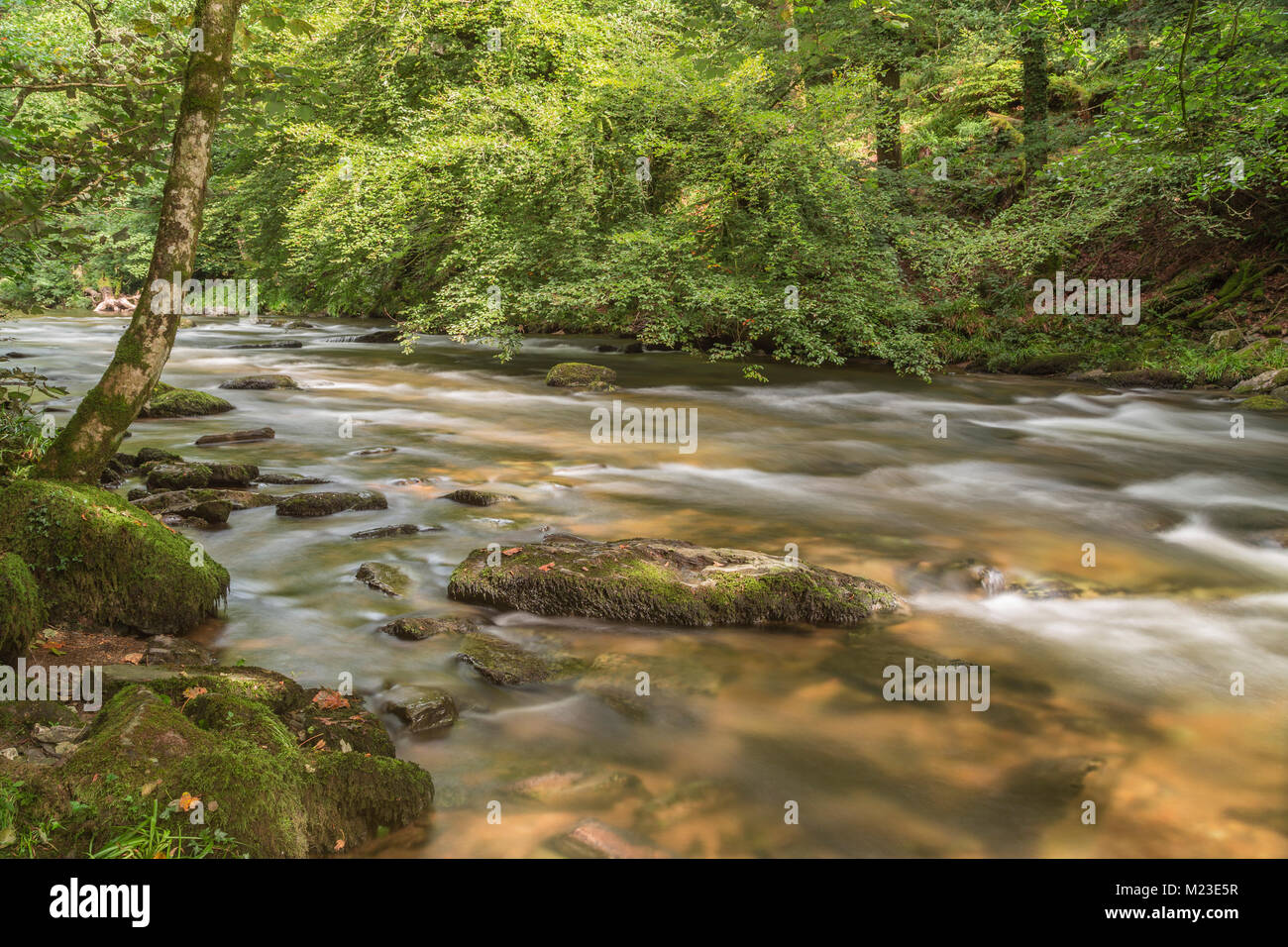 Un'immagine del bel fiume Barle, catturato in slow motion usando i filtri ND per dare l'effetto sfocato sull'acqua. L'accento è posto sulla roccia io Foto Stock