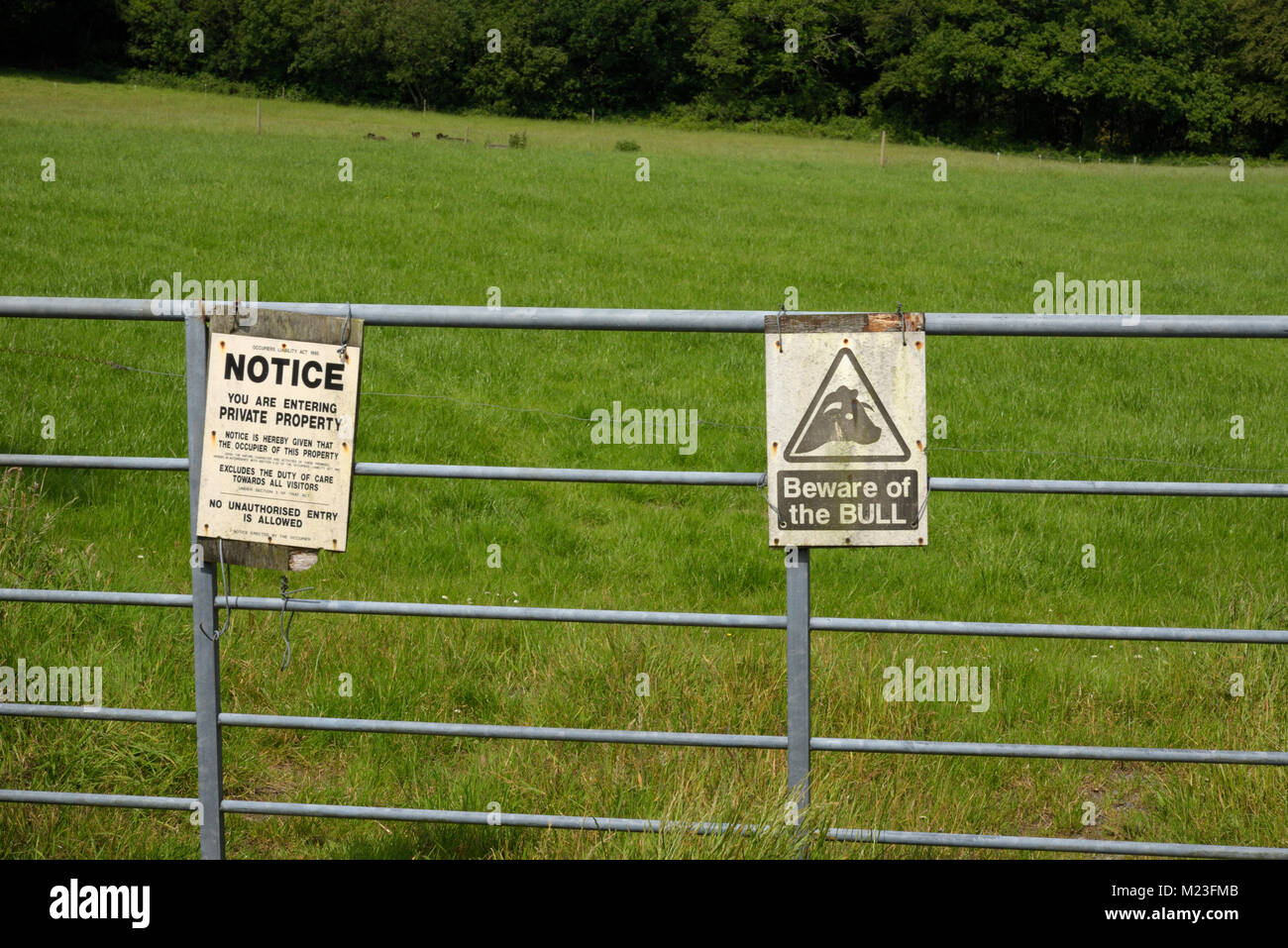 Diffidate di Bull Avviso su una porta di campo Foto Stock