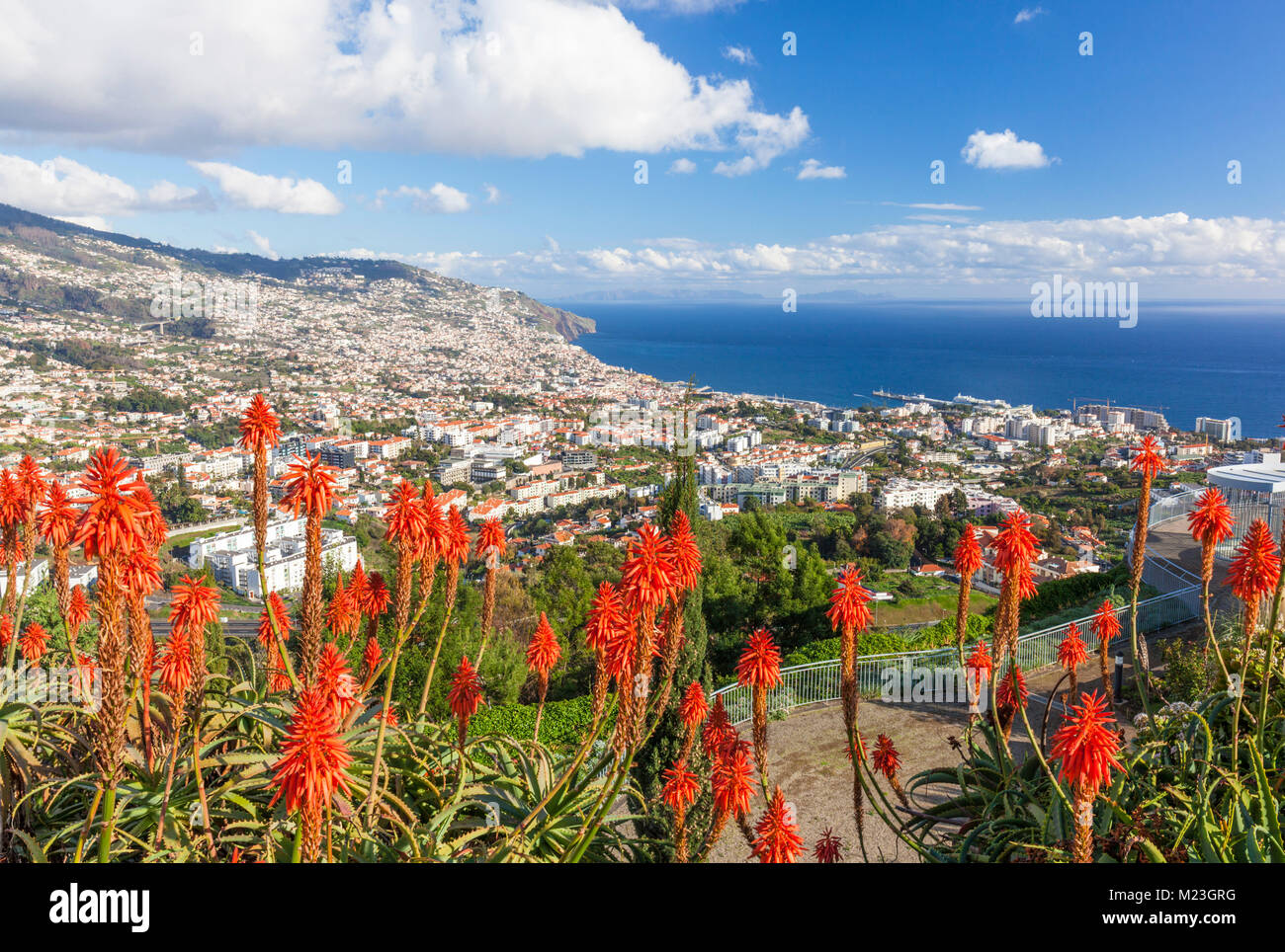 Madeira Portogallo Madeira vista di Funchal, la capitale di Madeira guardando attraverso il porto baia del porto e della città vecchia di Funchal Madeira Portogallo Europa Foto Stock