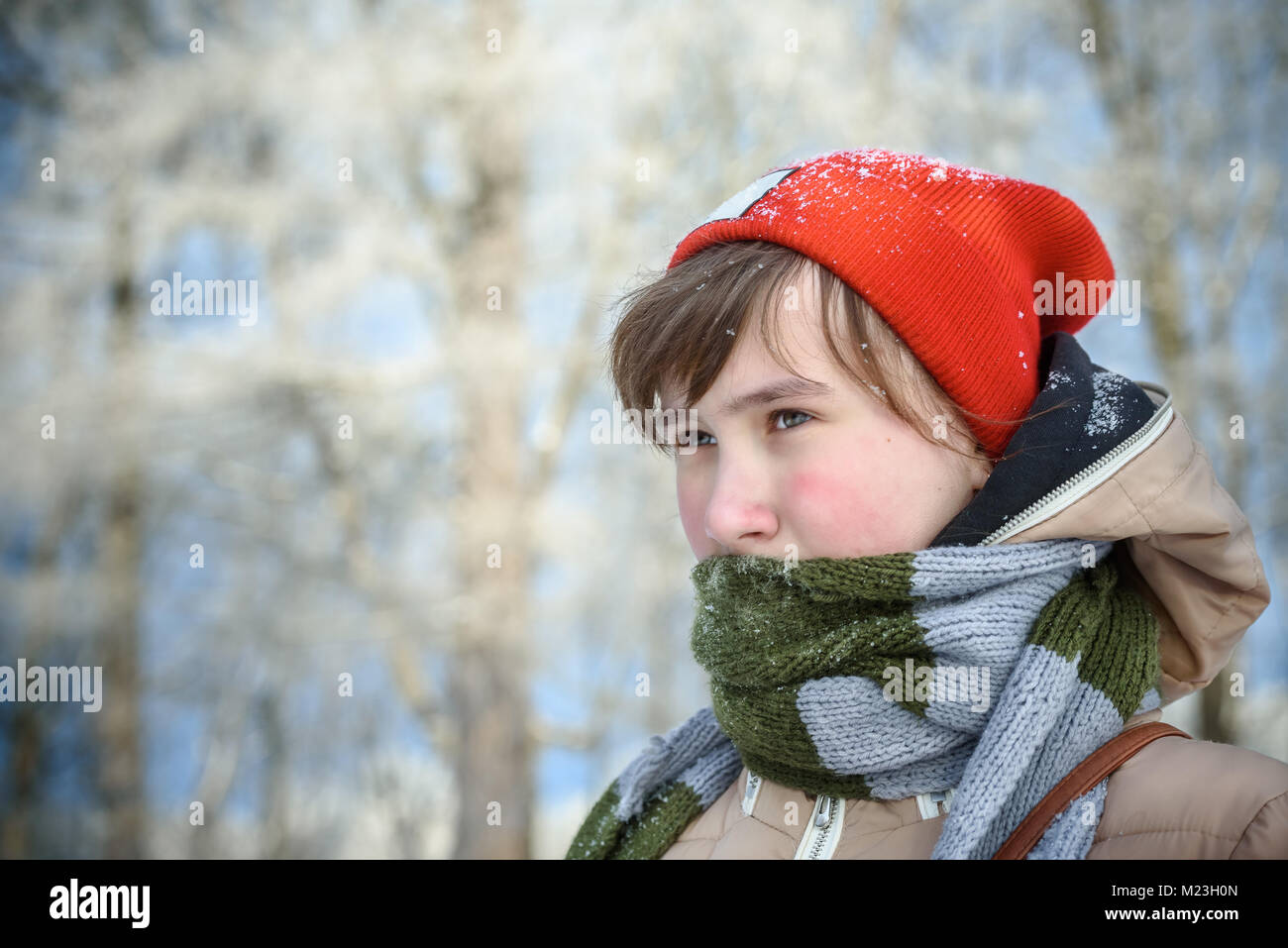 In inverno il ritratto di una bella ragazza. Close-up. Red Hat Foto Stock