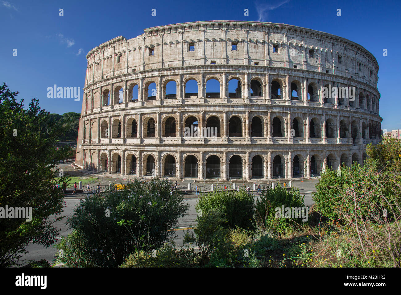 Colosseo nella luce del mattino, Roma, Italia Foto Stock