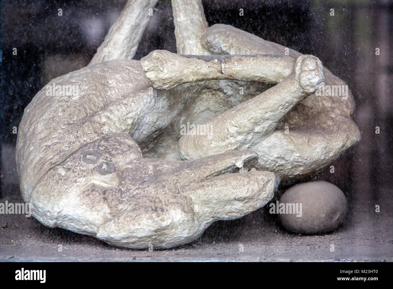 Cane congelati nella lava a Pompei, Italia Foto Stock