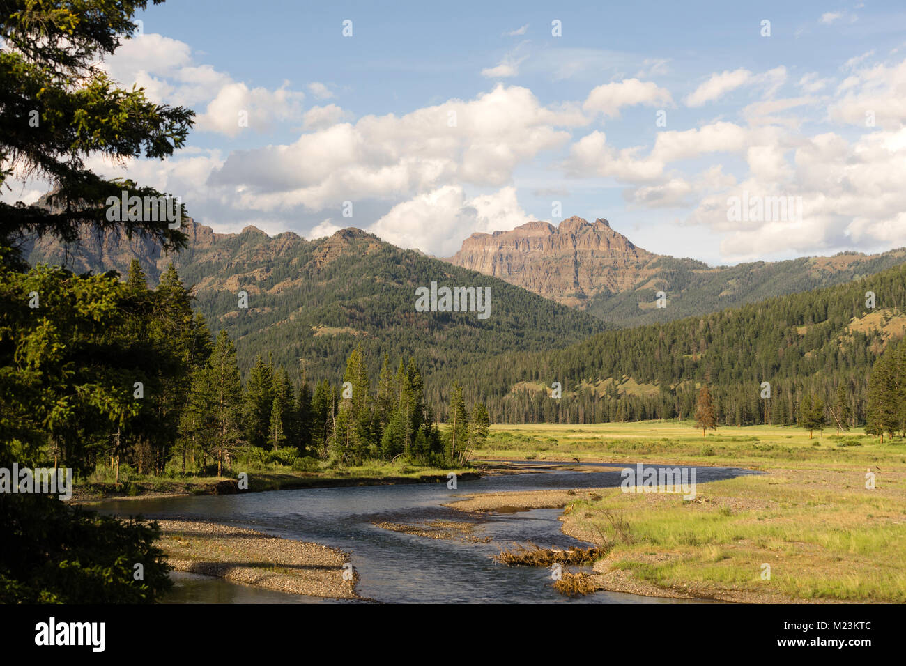 La Valle di Lamar detiene un fiume che porta lo stesso nome a Yellowstone, Wyoming Foto Stock