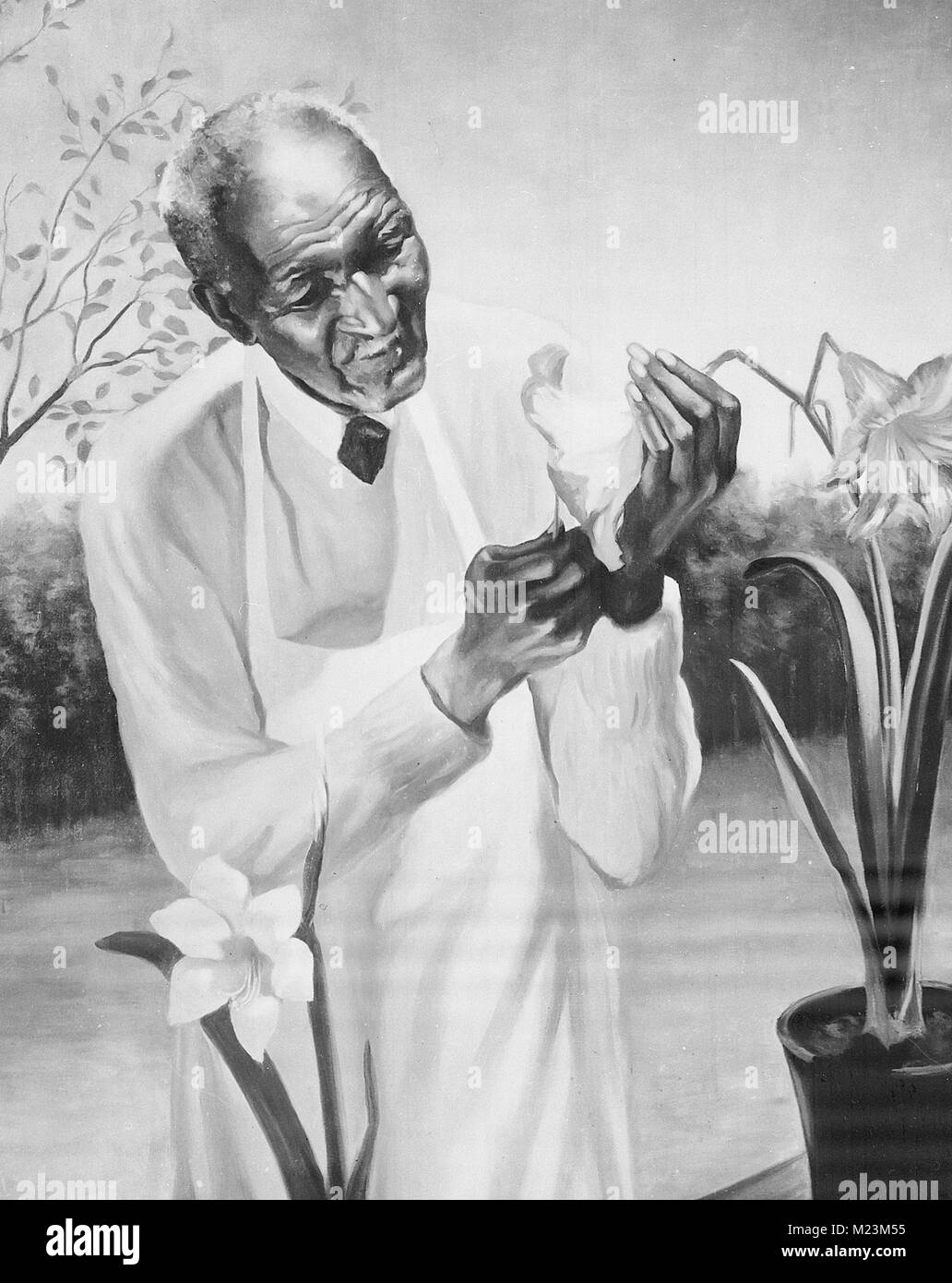 George W Carver, botanico e scienziato, Ritratto Foto Stock
